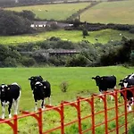The Cowshed On The Greenway *