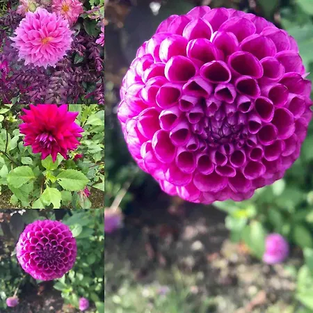 The Cowshed On The Greenway * Dungarvan (Waterford)