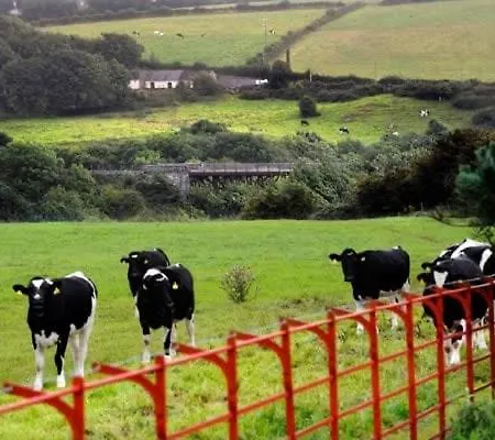 The Cowshed On The Greenway *