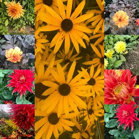 The Cowshed On The Greenway Dungarvan (Waterford)