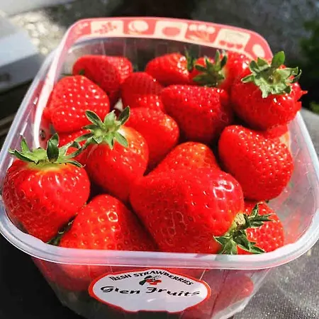 Prázdninový dům The Cowshed On The Greenway Dungarvan (Waterford)