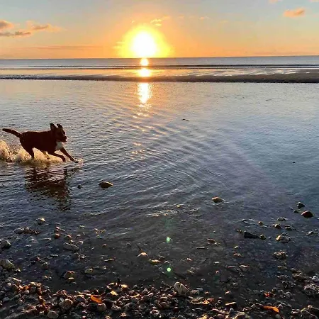 The Cowshed On The Greenway Prázdninový dům Dungarvan (Waterford)