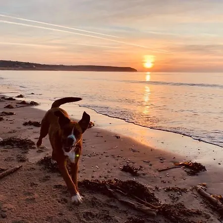 Prázdninový dům The Cowshed On The Greenway