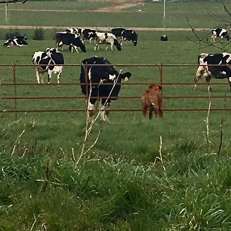 Prázdninový dům The Cowshed On The Greenway *