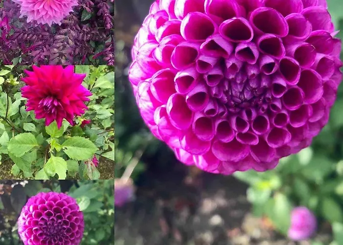 The Cowshed On The Greenway * Dungarvan (Waterford)