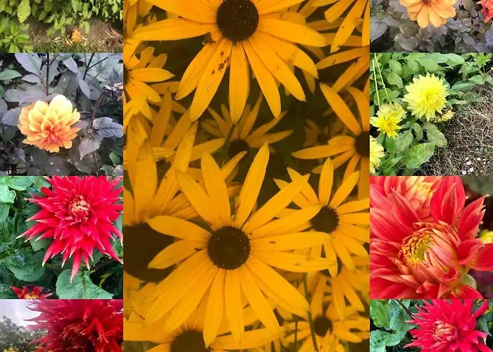 The Cowshed On The Greenway Dungarvan (Waterford)