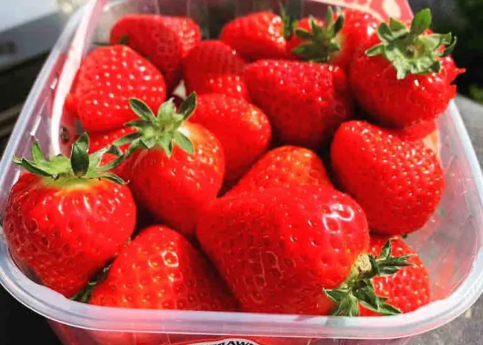 Semesterbostad The Cowshed On The Greenway Dungarvan (Waterford)