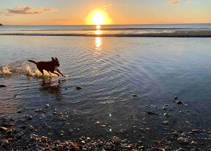 The Cowshed On The Greenway Semesterbostad Dungarvan (Waterford)