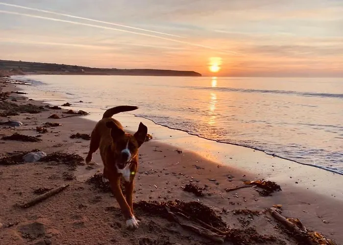 Ferienhaus The Cowshed On The Greenway
